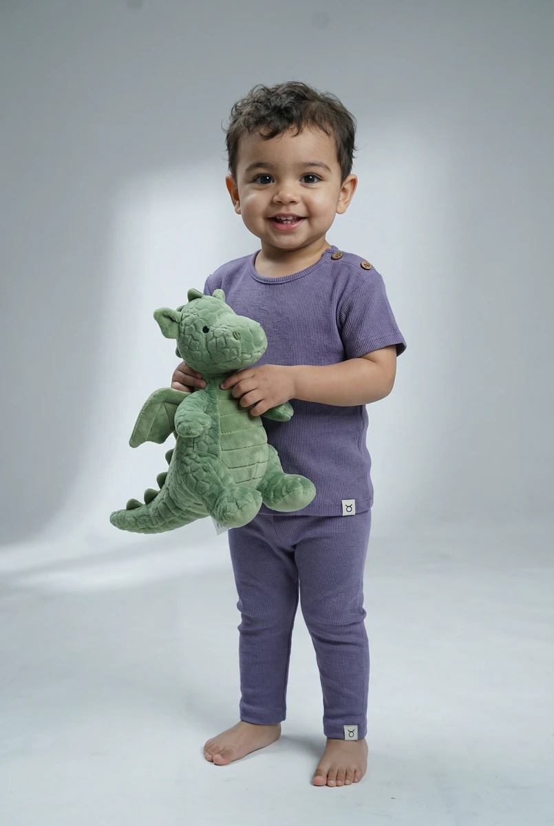 Toddler wearing a ribbed purple short-sleeve shirt and matching leggings while holding a plush green dragon toy.